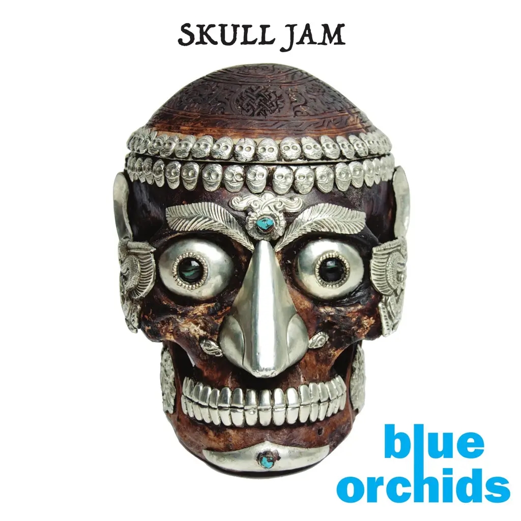 Album artwork for Skull Jam by The Blue Orchids