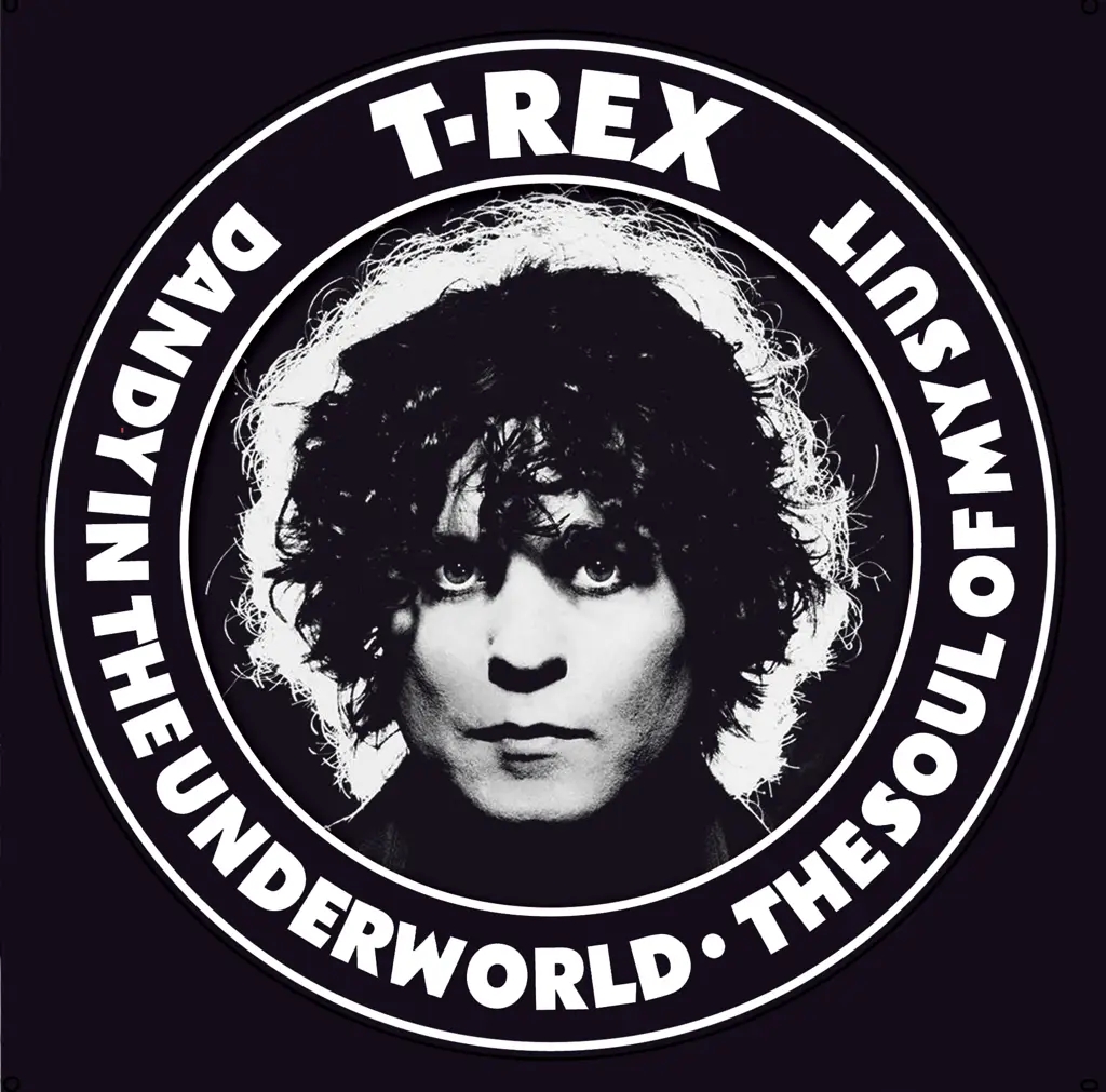 Album artwork for Dandy In the Underworld / Soul of My Suit by T Rex