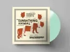 Album artwork for Album artwork for Sunbathing Animal by Parquet Courts by Sunbathing Animal - Parquet Courts