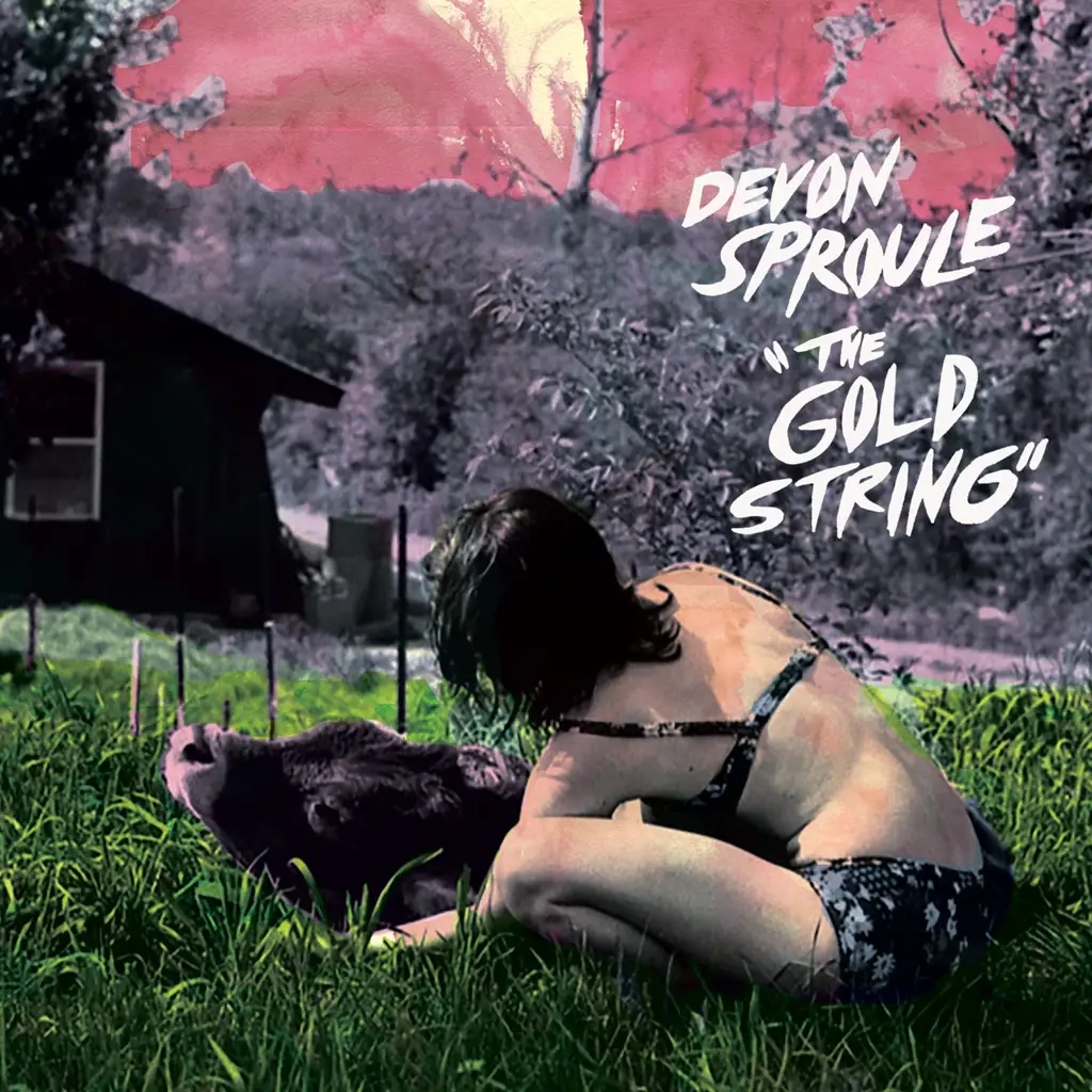 Album artwork for The Gold String by Devon Sproule