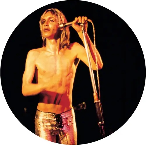 Album artwork for More Power - Picture Disc by Iggy Pop and The Stooges