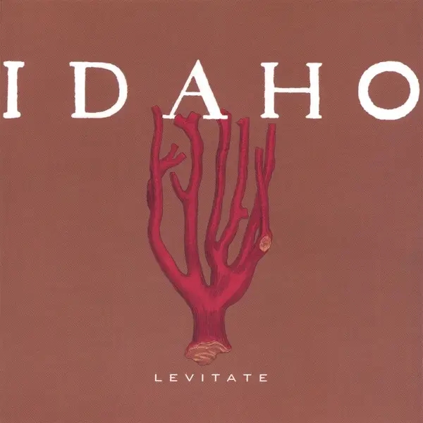 Album artwork for Levitate by Idaho