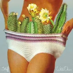 Album artwork for Stiff by White Denim