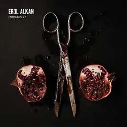 Album artwork for Fabriclive 77 by Erol Alkan