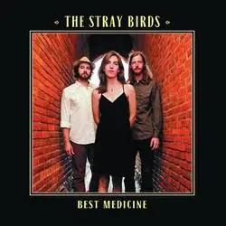 Album artwork for Best Medicine by The Stray Birds