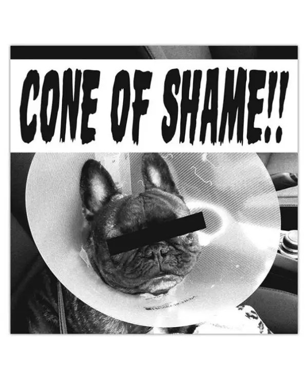 Album artwork for Cone of Shame - Red Vinyl by Faith No More