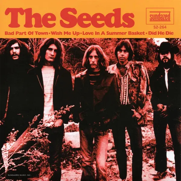 Album artwork for Best Part Of Town / Wish Me Up / Love In A Summer Basket / Did He Die by The Seeds