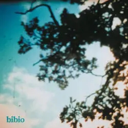 Album artwork for Fi by Bibio