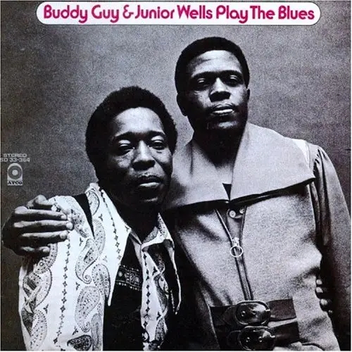 Album artwork for Plays the Blues by Buddy Guy and Junior Wells