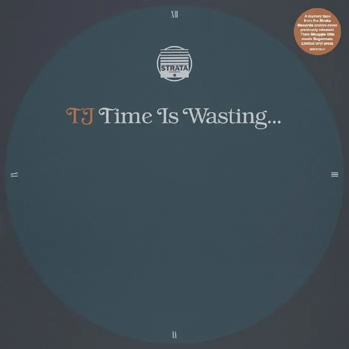 Album artwork for Time is Wasting by TJ