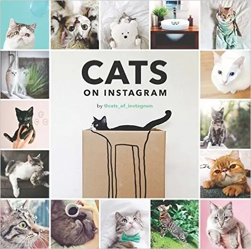 Album artwork for Cats on Instagram by @cats_of_instagram