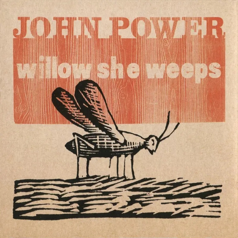 Album artwork for Willow She Weeps by John Power