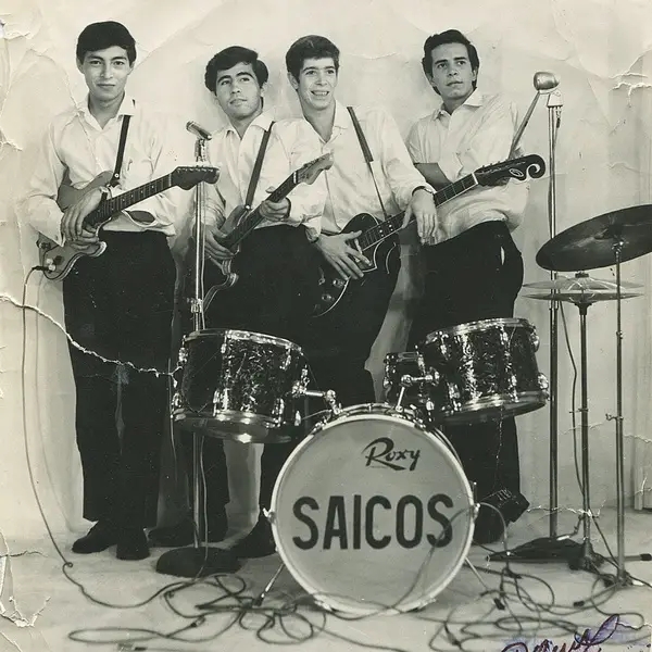 Album artwork for Demolicion by Los Saicos