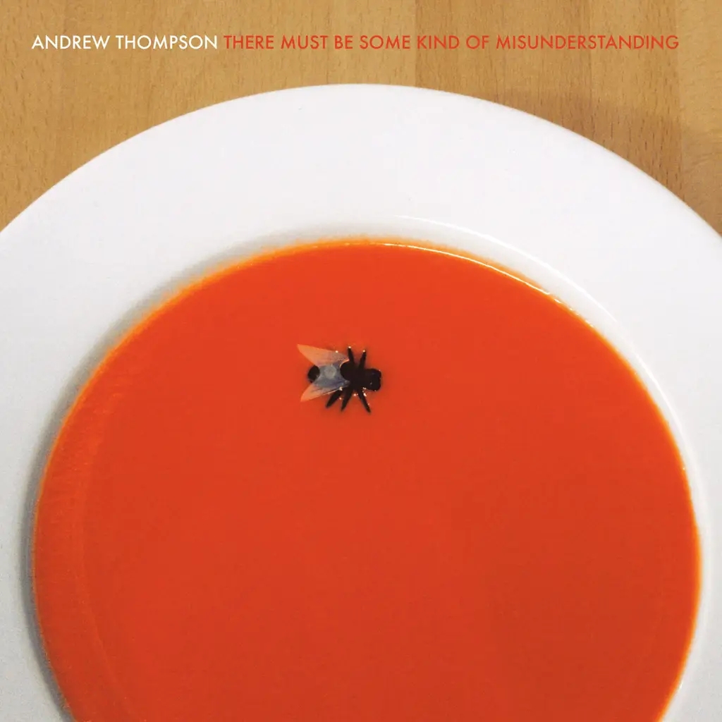 Album artwork for There Must Be Some Kind of Misunderstanding by Andrew Thompson