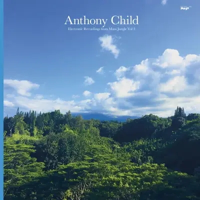 Album artwork for Electronic Recordings From Maui Jungle 2 by Anthony Child (Surgeon)