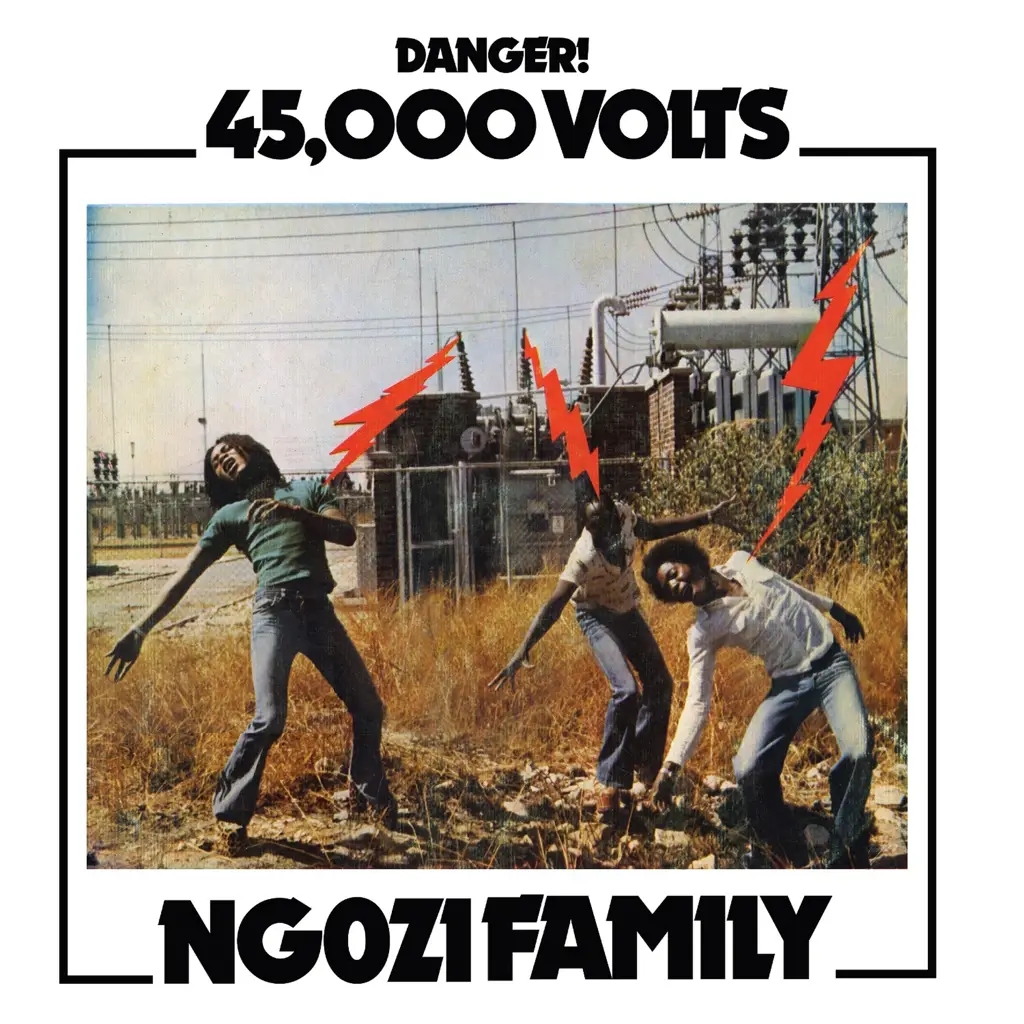 Album artwork for 45,000 Volts by Ngozi Family