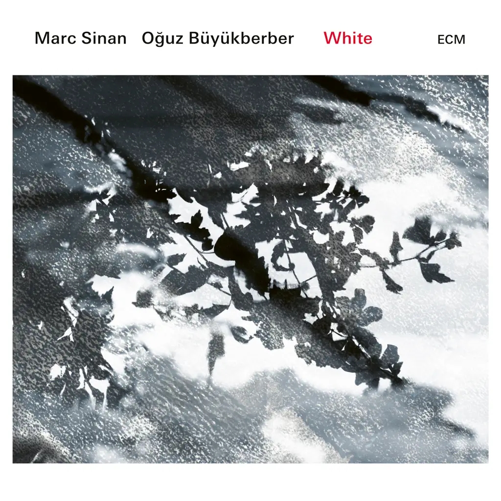 Album artwork for White by Marc Sinan and Oguz Buyukberber