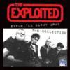 Album artwork for Exploited Barmy Army - The Collection by The Exploited