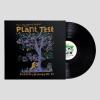 Album artwork for Plant Test by Sports Team