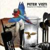 Album artwork for Illusions In A Twisted Mind by Peter Visti