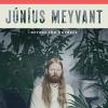 Album artwork for Across the Borders by Junius Meyvant