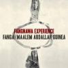 Album artwork for Fangnawa Experience by Fanga and Abdullah Guinea