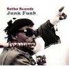 Album artwork for Junk Funk by Sotho Sounds