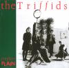 Album artwork for Treeless Plain by The Triffids