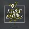 Album artwork for Lost Loves by Minus The Bear