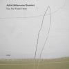 Album artwork for Not Far From Here by Julia Hulsmann Quartet