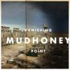 Album artwork for Vanishing Point by Mudhoney