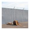 Album artwork for Anagrams by Stephen Steinbrink