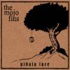 Album artwork for Pinata Face by The Mojo Fins