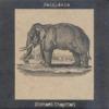 Album artwork for Pachyderm by Michael Chapman