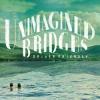 Album artwork for Unimagined Bridges by Driver Friendly