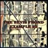 Album artwork for Example 22 by The Bevis Frond