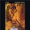 Album artwork for Tyger by Tangerine Dream