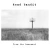 Album artwork for From The Basement by Dead Bandit