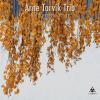 Album artwork for Northwestern Songs by Arne Torvik Trio