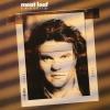 Album artwork for Blind Before I Stop by Meat Loaf