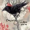 Album artwork for Garden Ruin by Calexico