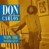 Album artwork for Wipe the Wicked Clean by Don Carlos