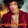 Album artwork for Experience Hendrix - the Best of by Jimi Hendrix