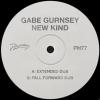 Album artwork for New Kind (Extended Dub / Fall Forward Dub) by Gabe Gurnsey