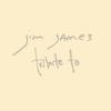 Album artwork for Tribute To - Reissue by Jim James