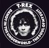 Album artwork for Dandy In the Underworld / Soul of My Suit by T Rex