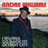 Album artwork for I Wanna Go Back to Detroit City by Andre Williams