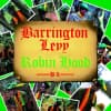 Album artwork for Robin Hood by Barrington Levy