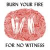 Album artwork for Burn Your Fire For No Witness by Angel Olsen