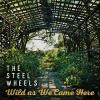 Album artwork for Wild As We Came Here by The Steel Wheels